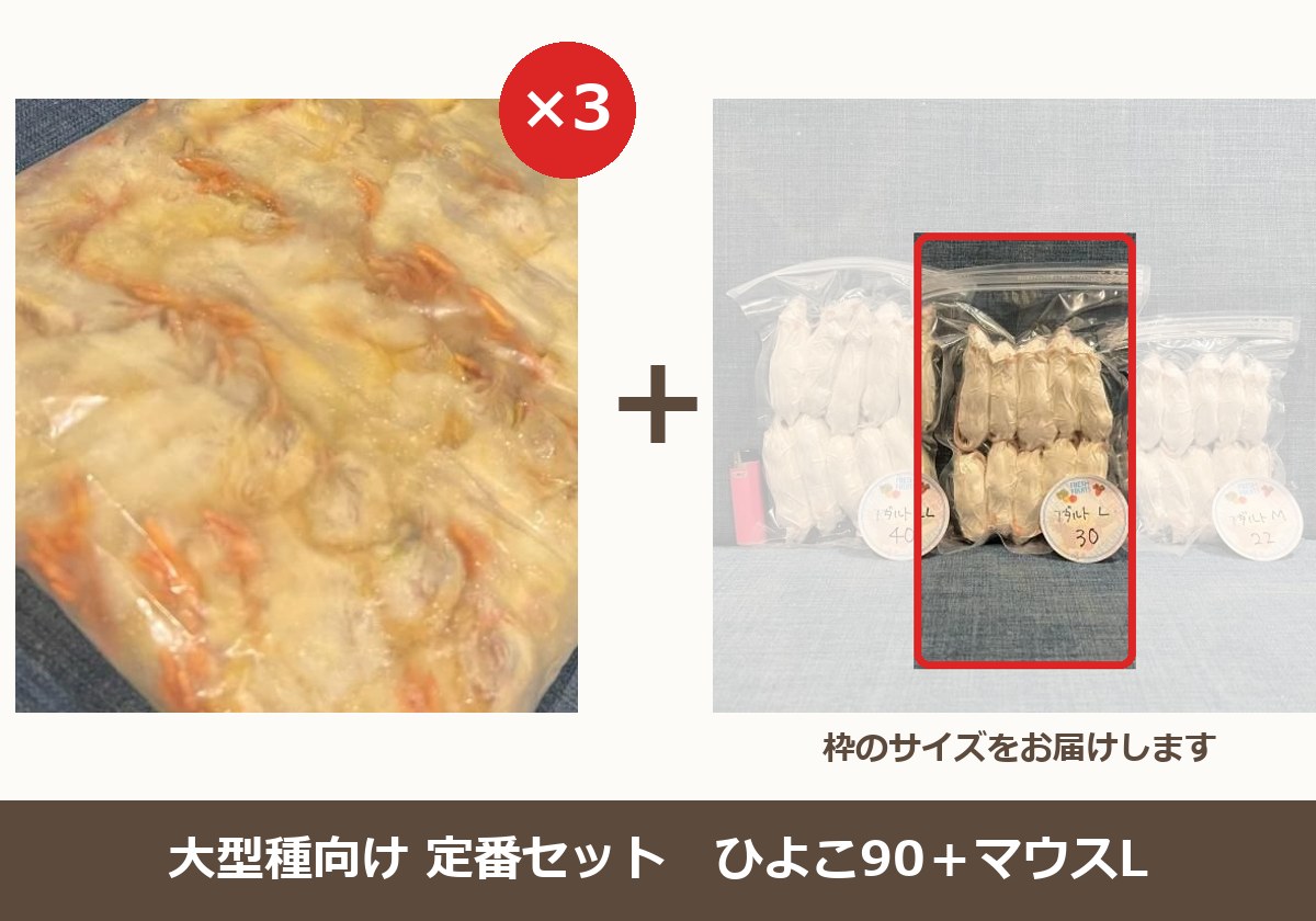 定番セット　ひよこ90＋マウスL