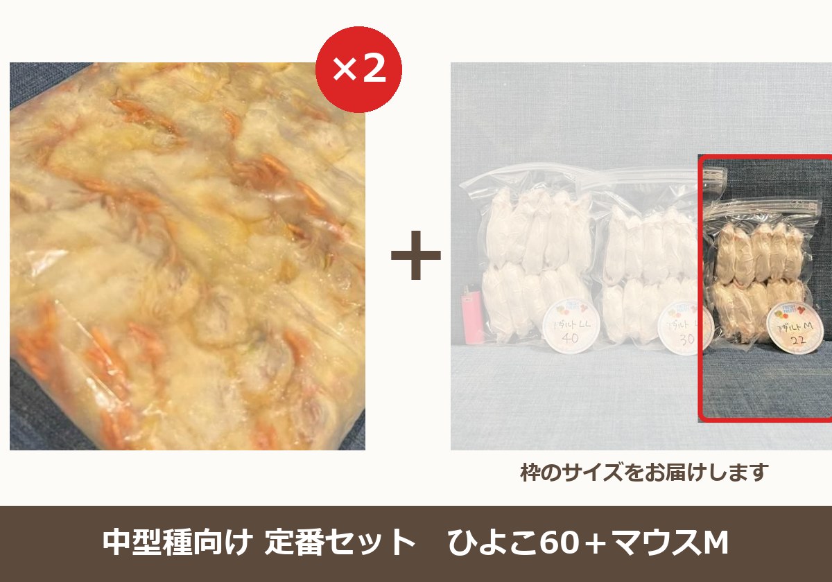 定番セット　ひよこ60＋マウスM