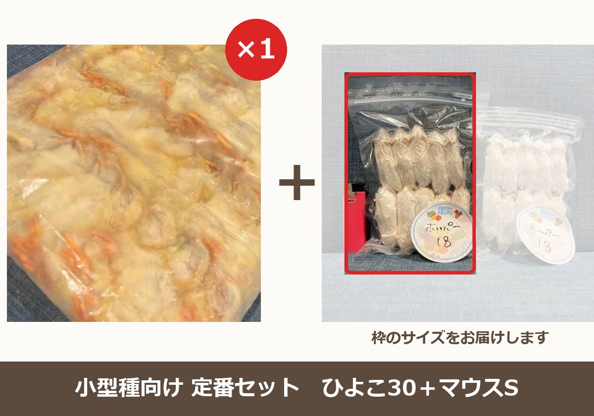 定番セット　ひよこ30＋マウスS