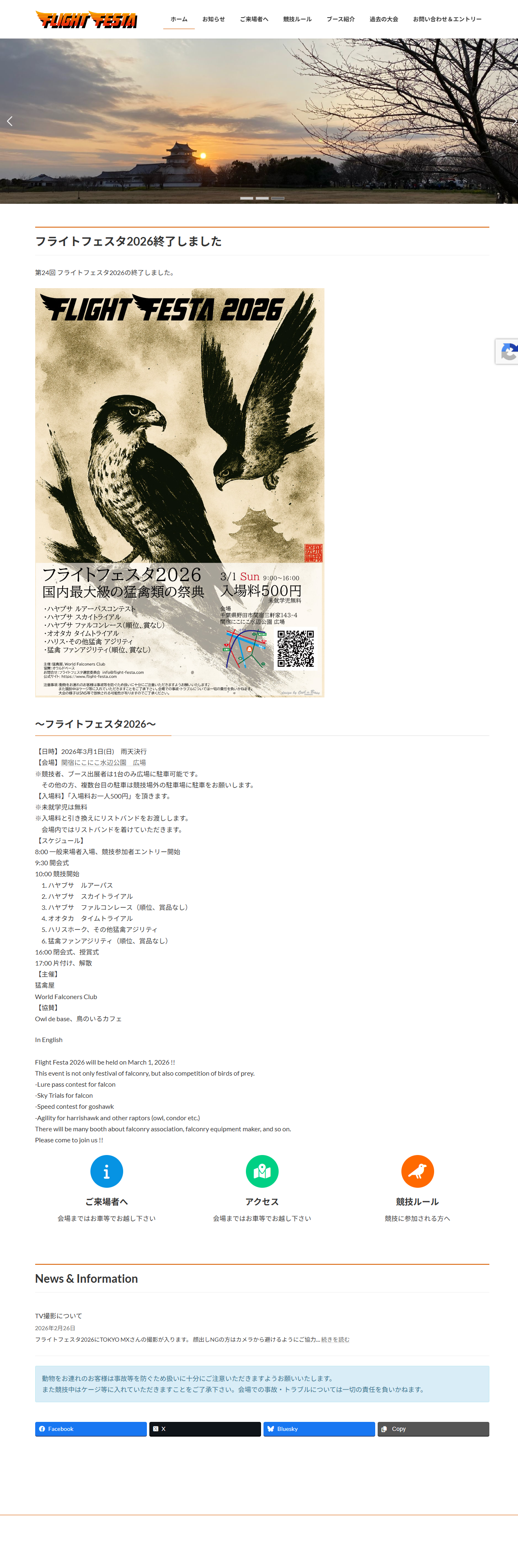 フライト・フェスタ（flight-festa.com）