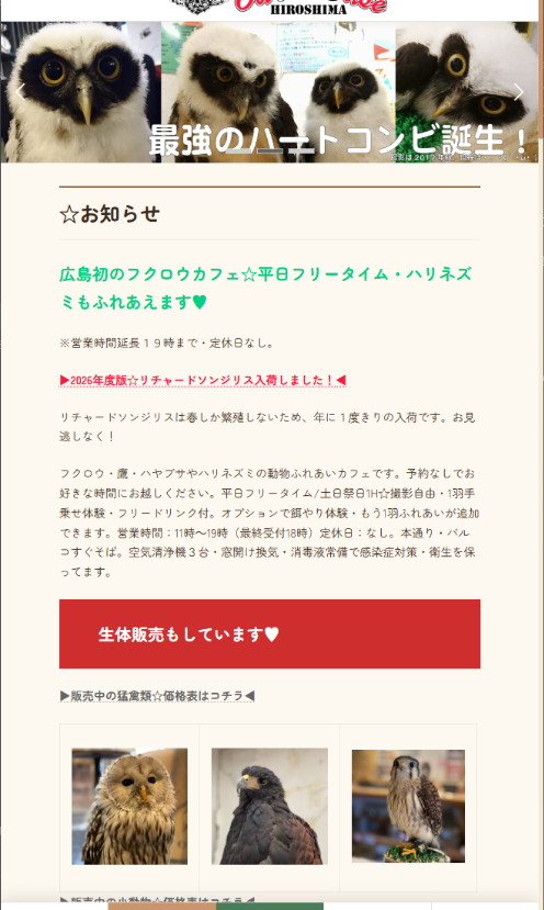 BEFORE (旧サイト) Mobile