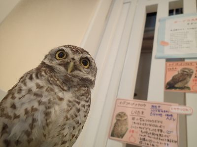 業務日記