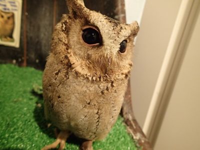 業務日記