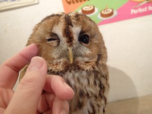 業務日記