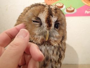 業務日記