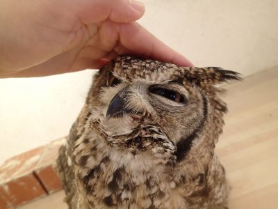 業務日記
