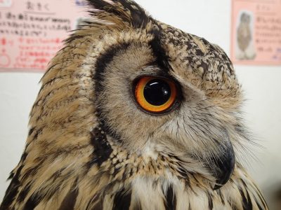 業務日記