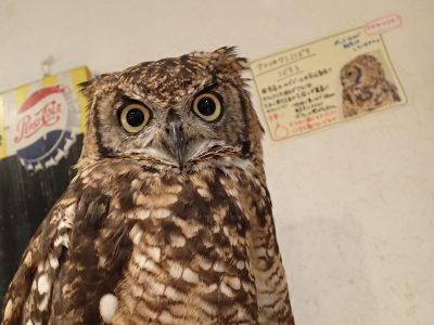 業務日記