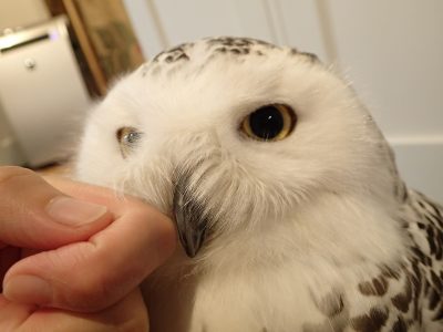 業務日記