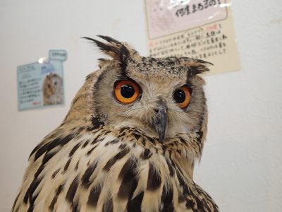 業務日記