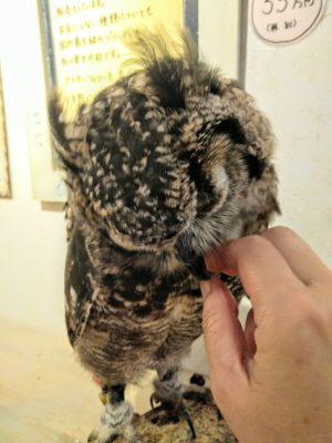 業務日記