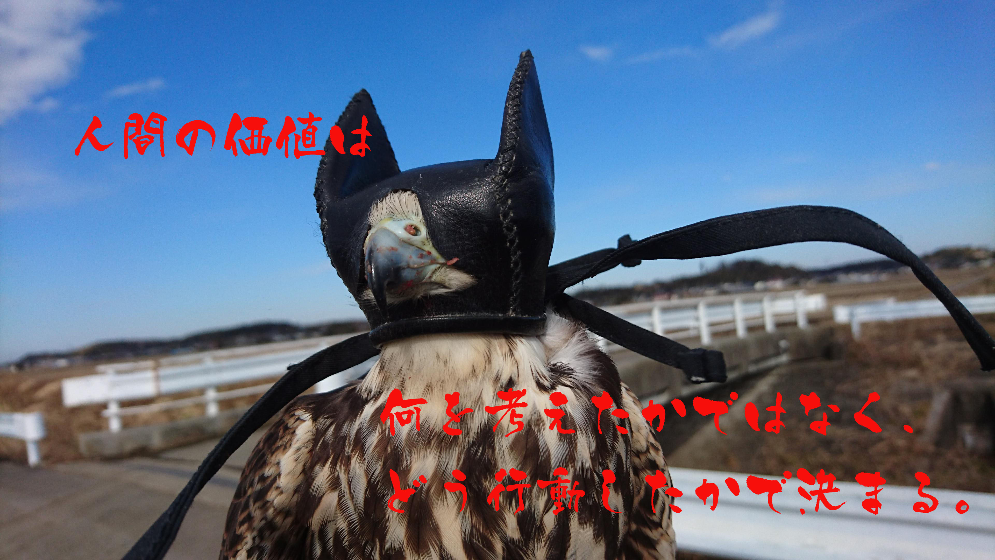 業務日記