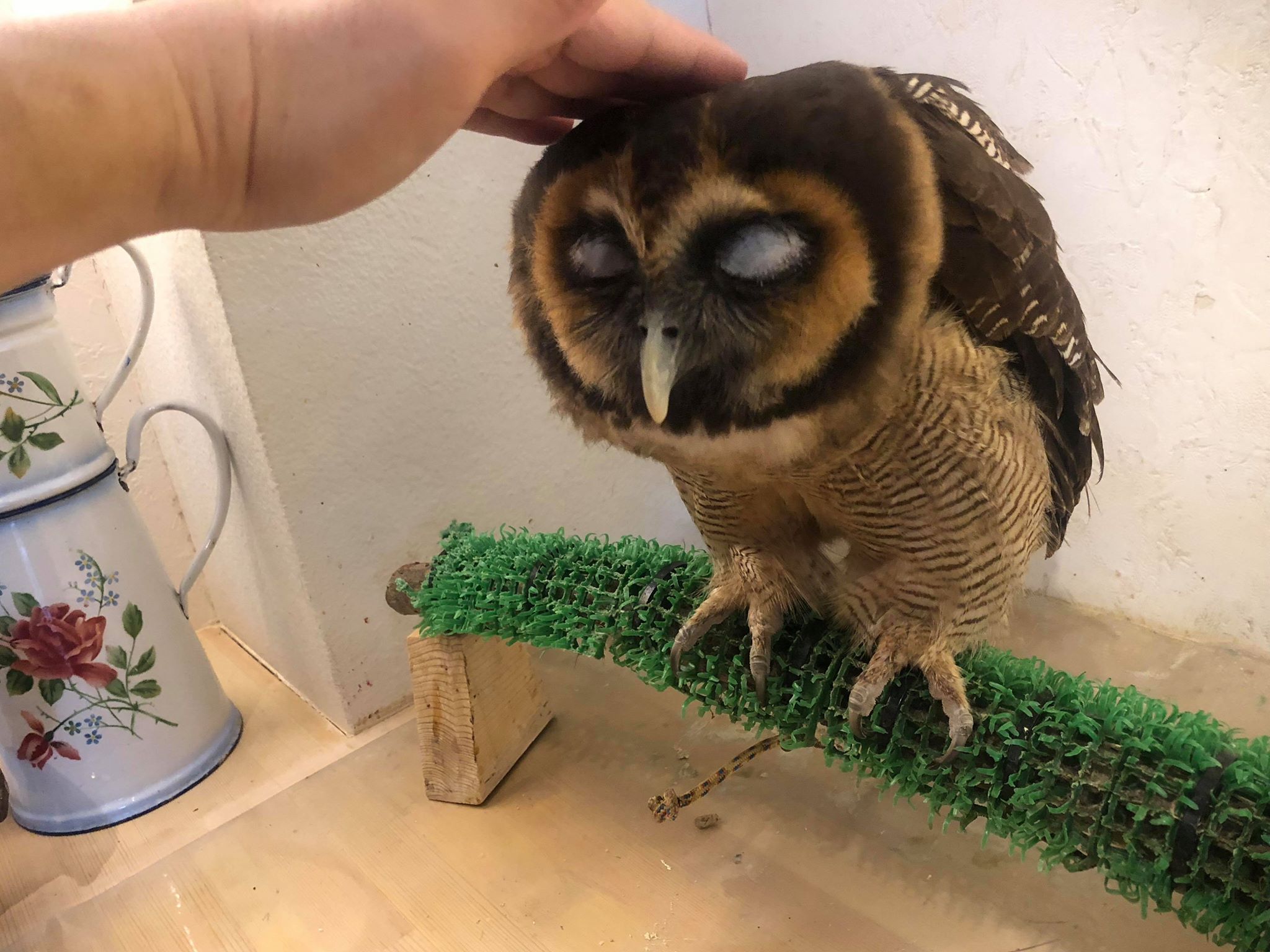 業務日記