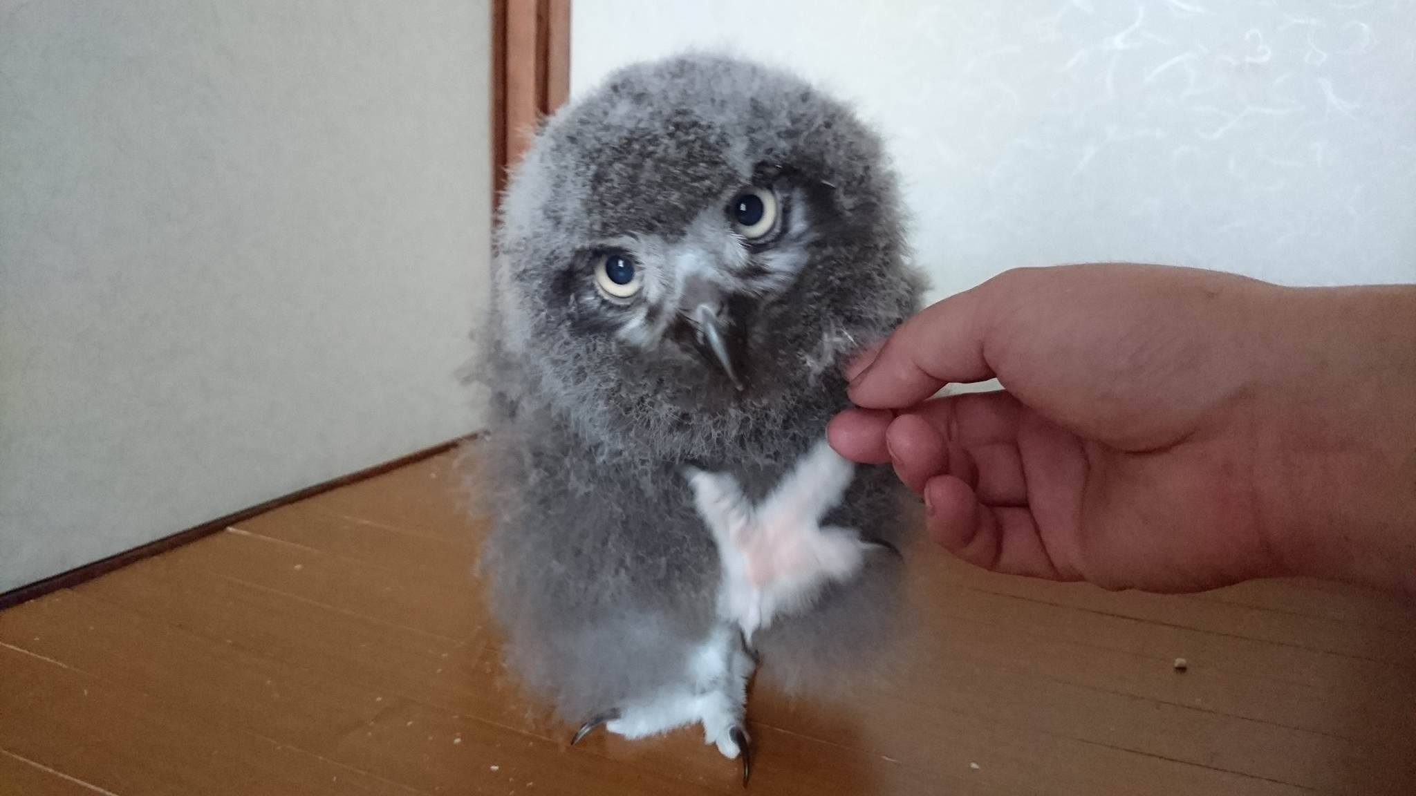 業務日記