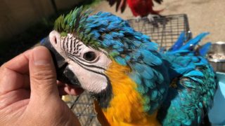 59767265_2461302090571048_4401