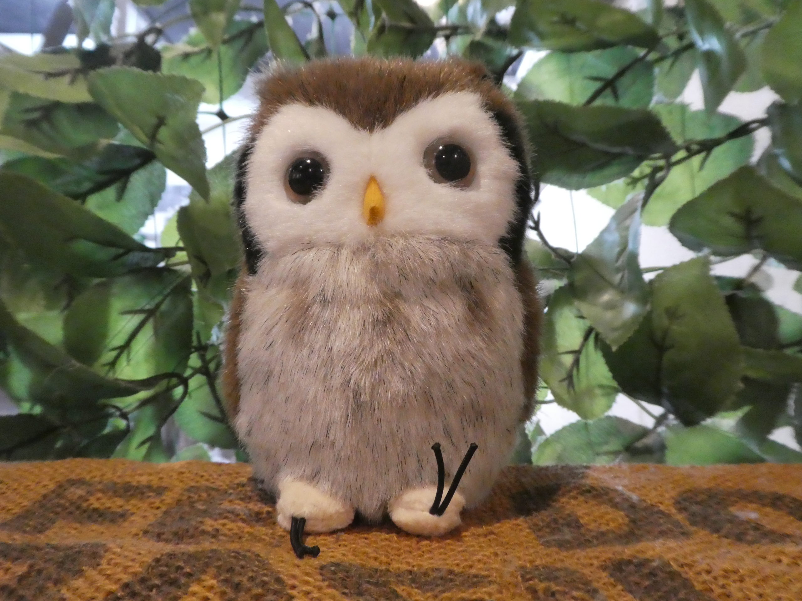 ぬいぐるみ りくのなかまたち このはずく 広島初のフクロウカフェ オウルドベース