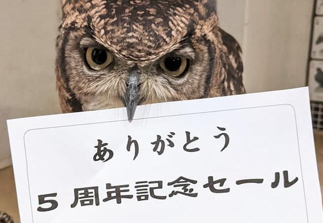 ありがとう☆５周年記念セール期間延長します！