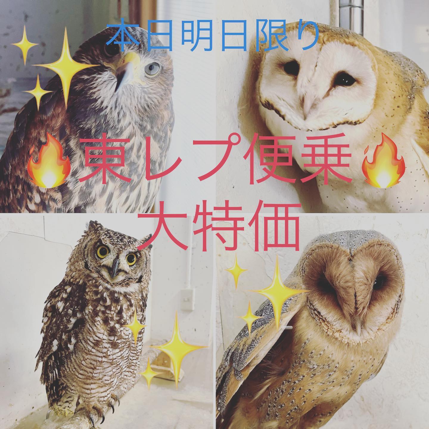 業務日記