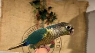 284137646_2796058573871414_169