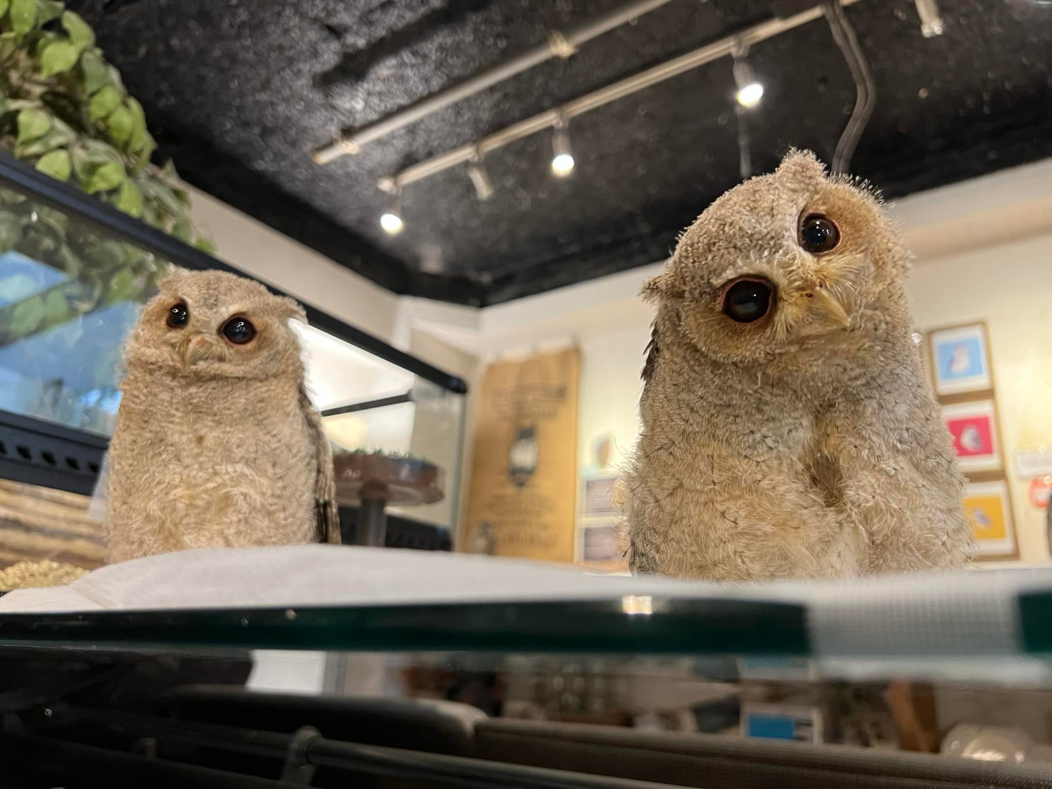 業務日記