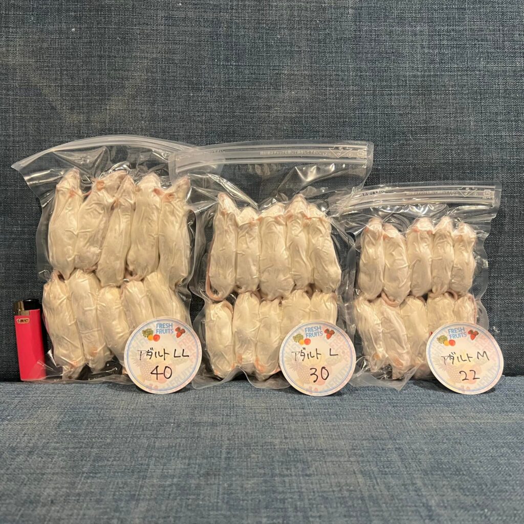 冷凍アダルトマウスM22 10個パック【猛禽類・フクロウ・鷹・隼用エサ】 | 広島初のフクロウカフェ オウルドベース