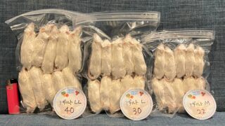 SMEM-0003-320x180.jpg