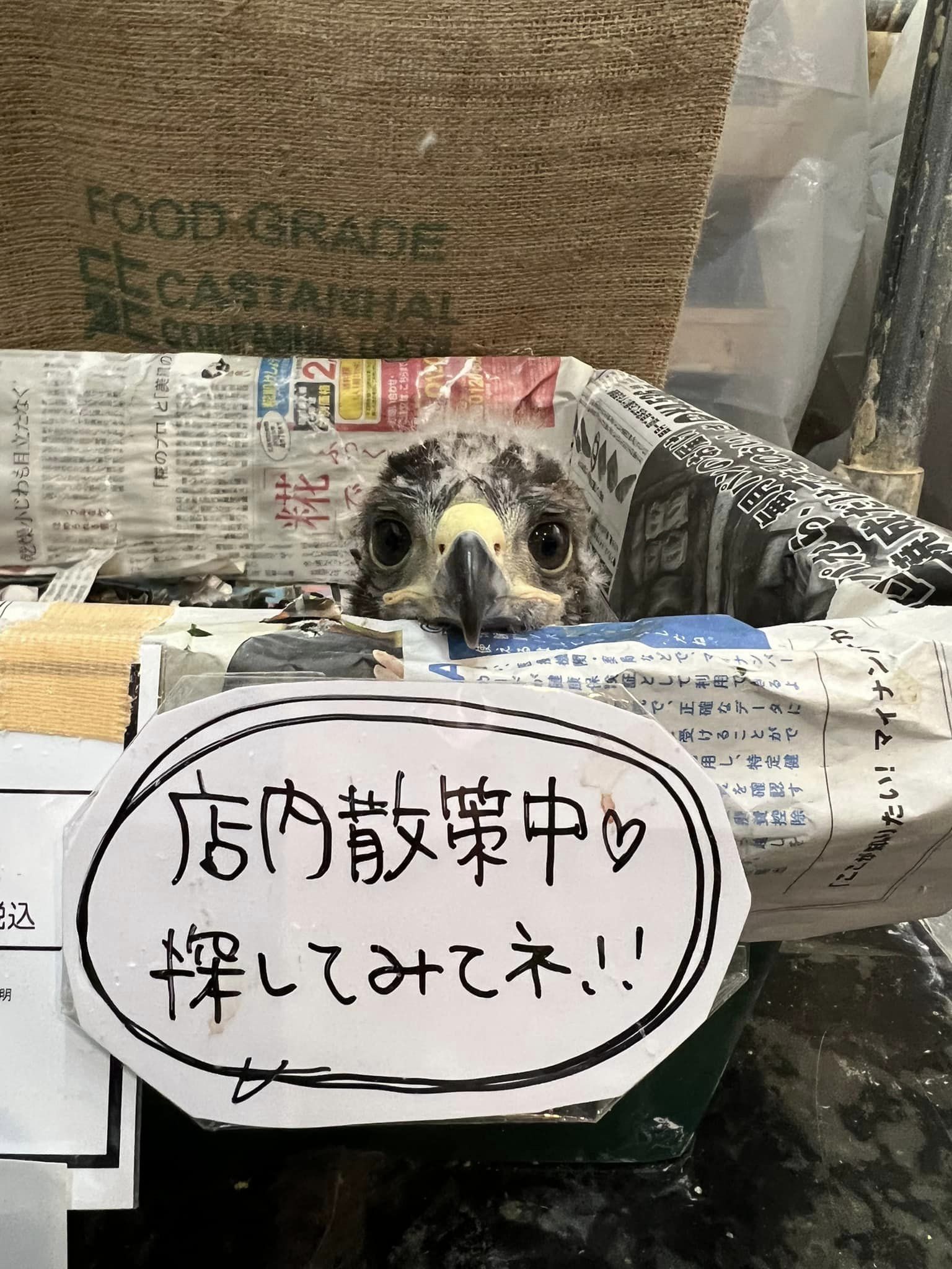業務日記