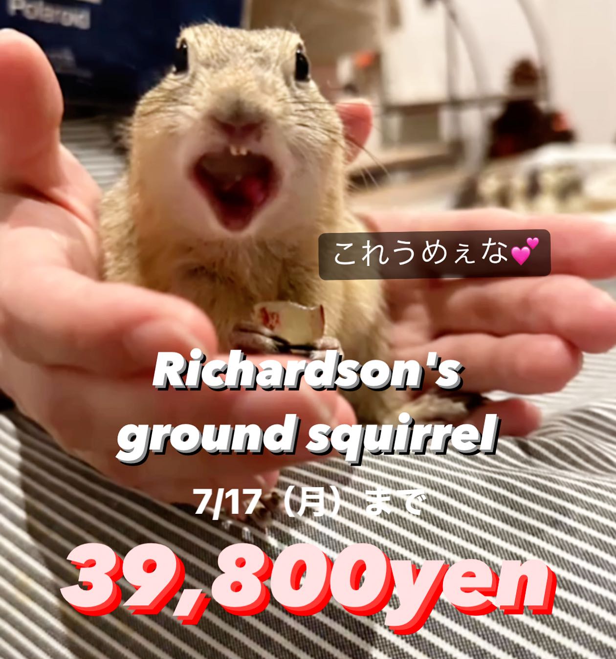 業務日記