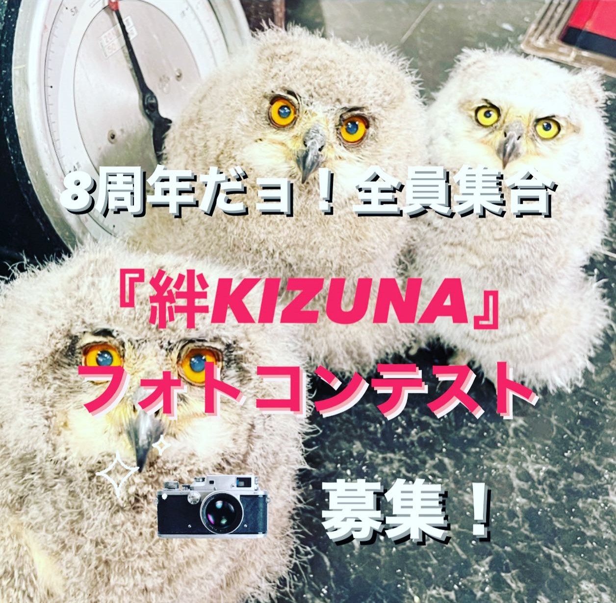 業務日記