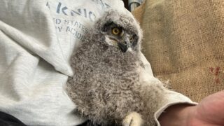 428674377_3348492441961355_209