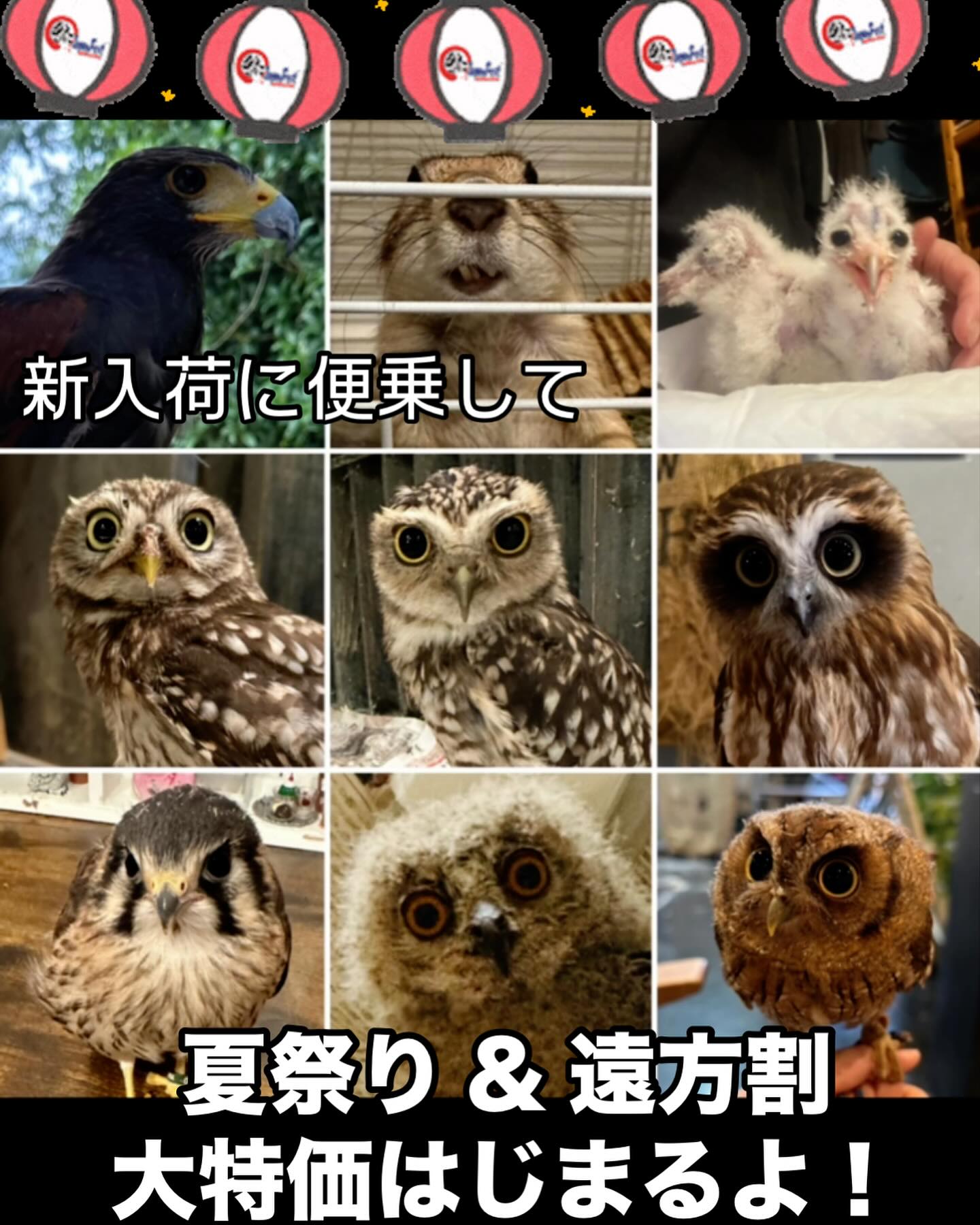 業務日記