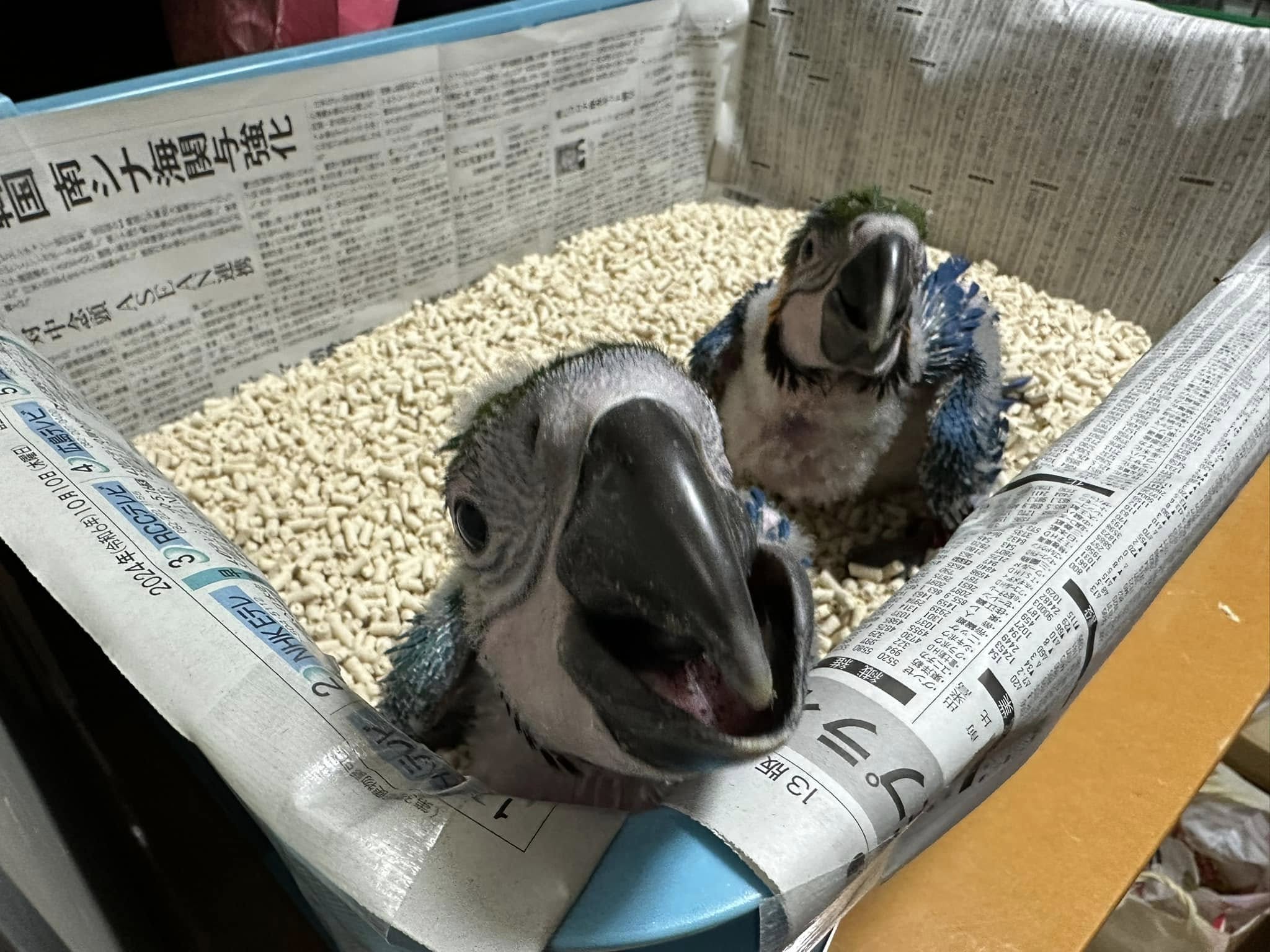 業務日記