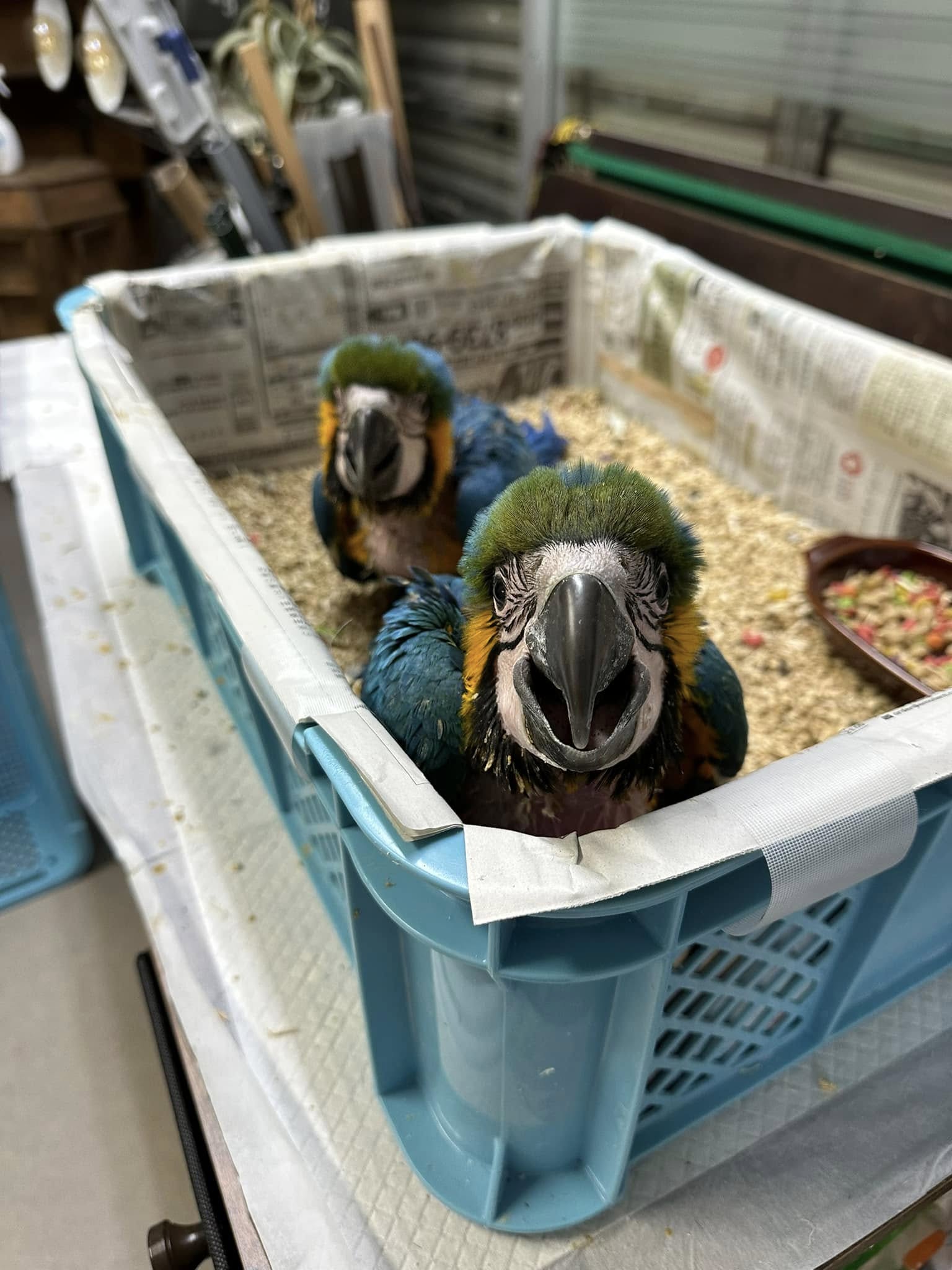 業務日記