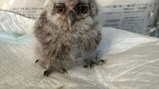 489889412_3752953608181901_798