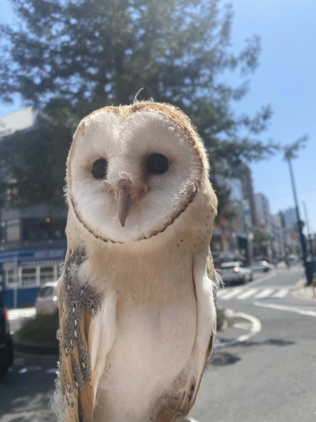 業務日記