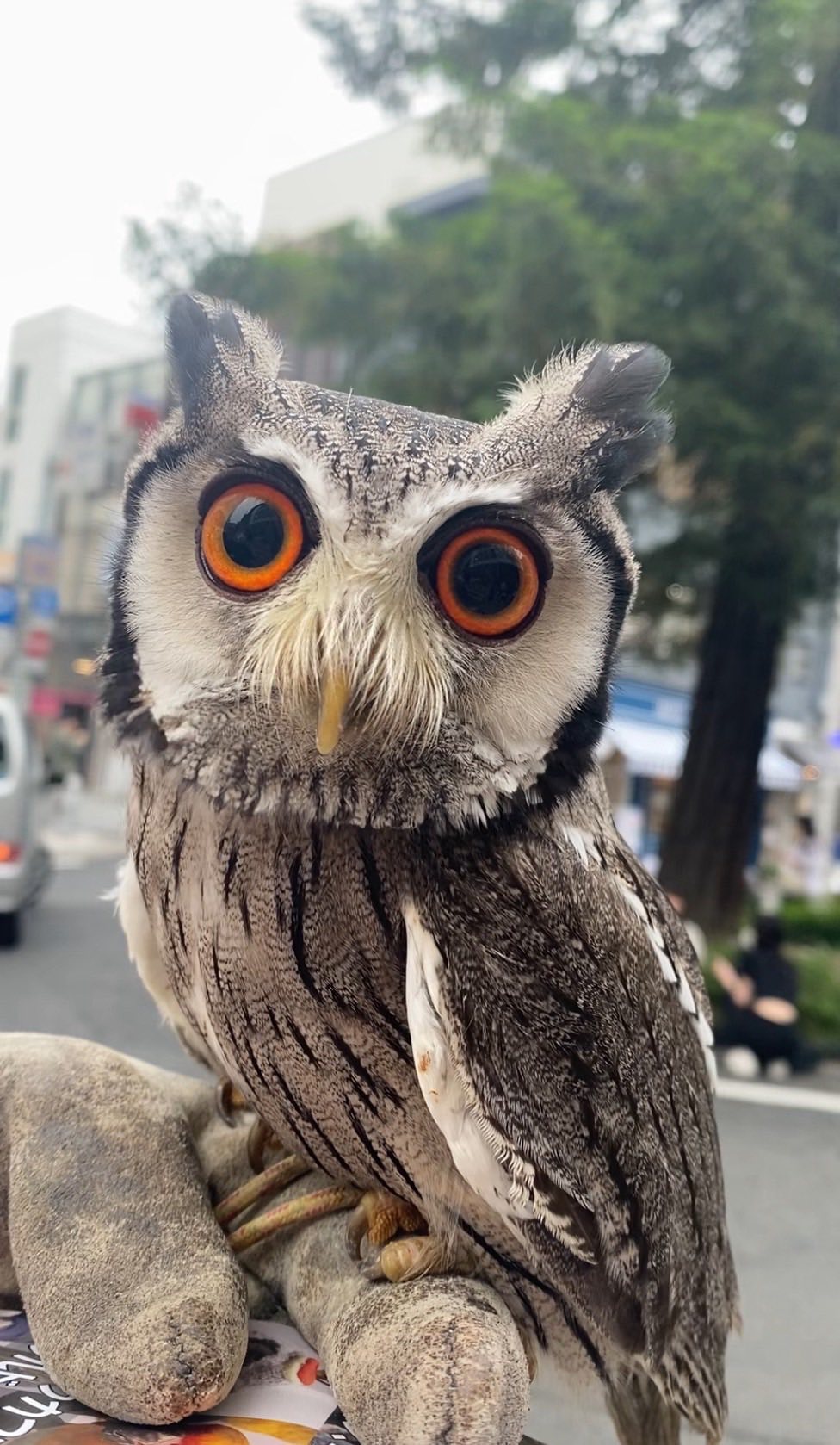 業務日記