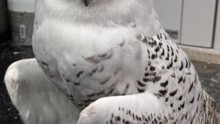 567654556_3995807743896485_555