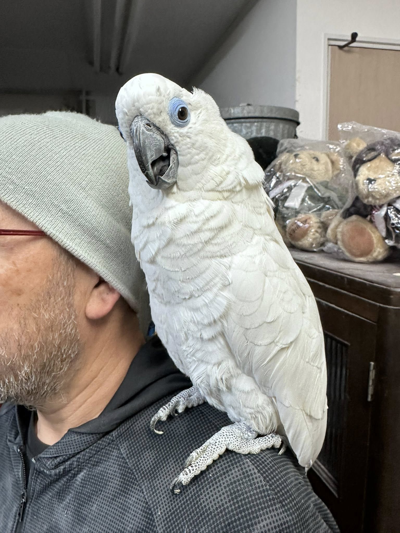 業務日記